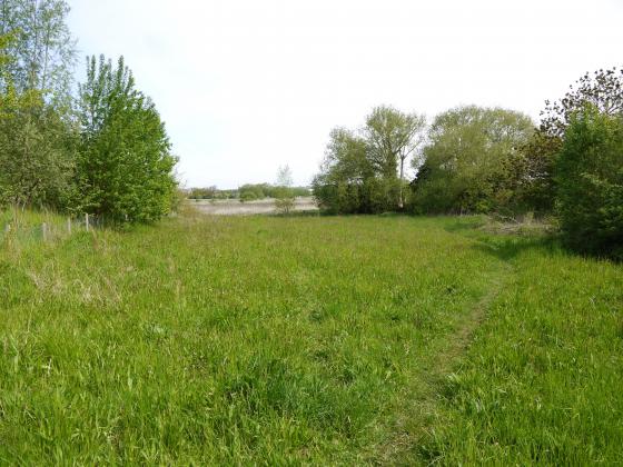 LPC Site 304 to the left and the River Soar to the right. Looking to Site 253. June 2013