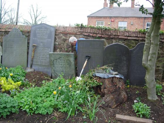 Site 176 Work in progress. Steve Mitchell straightening the gravestones. March 2009