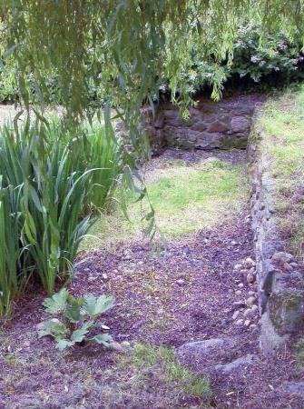 Pond 37 Ann's Pond in Site 255 Anthony Street Gardens. June 2004