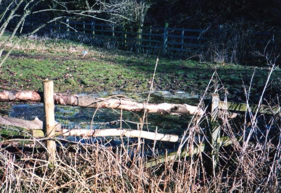 Site 179 Pond 24 West Brown Hill Pond at SK56921191 February 2004