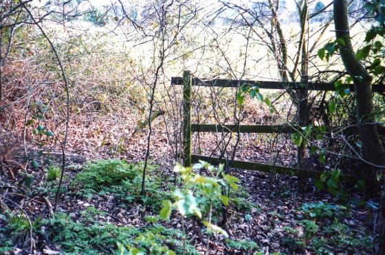 Looking into Site 180 from inside Site 193 Stocking Close Spinney over the site of Pond 26 March 2004