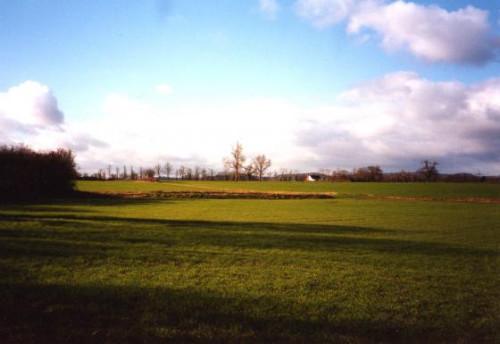 Site 183 to the right at the back and Site 196 Windmill Field in the foreground. Looking to The Ridings. Site 182 Stocking Sod to the left at the back. February 2004