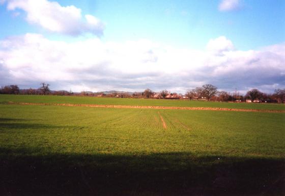 Site 183 behind the drain and Site 196 Windmill Field in the foreground. Looking to West Cross Lane. February 2004