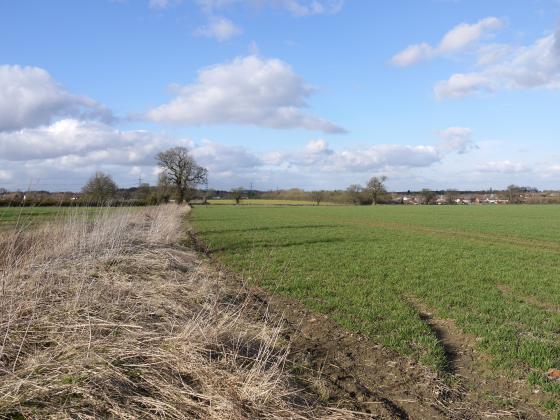 Looking to West Cross Lane and Gipsy Lane with Site 272 Triangle Field to the left of the ditch. February 2015