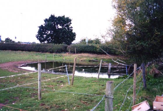 Site 184 Pond 20 Woodcock Farm Pond in the paddock adjoining the farm yard. September 2003