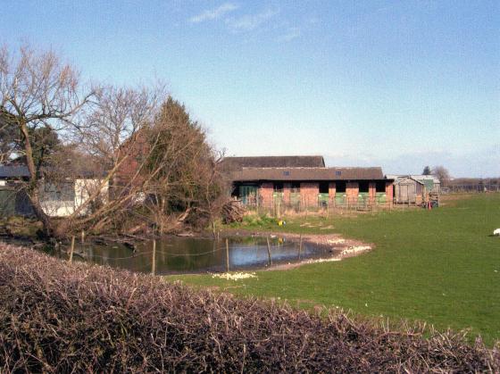 Site 184 Pond 20 Woodcock Farm Pond. March 2007