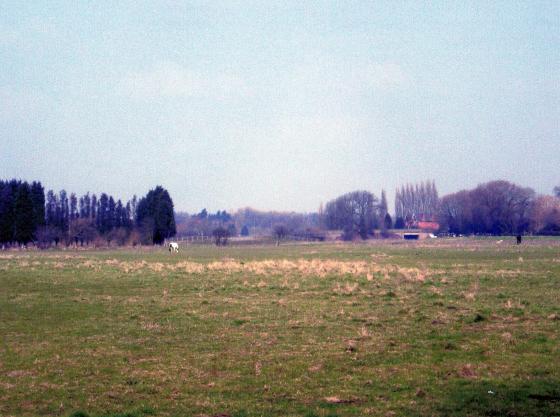 Site 187 Looking to Osier Villa. March 2006