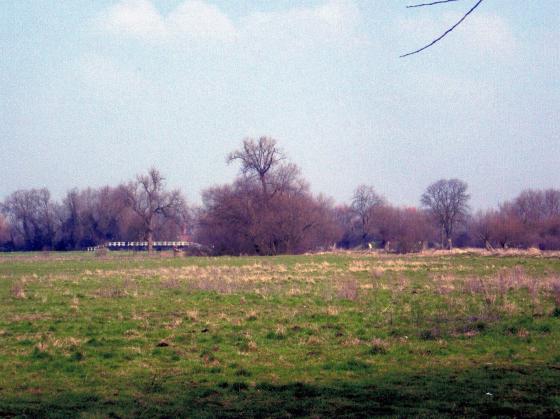 Site 187 Looking to the River Soar and Cossington Mill. March 2006