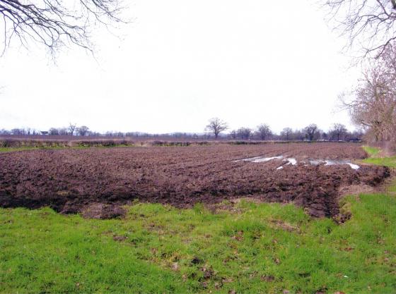 Site 260 looking to West Cross Lane. February 2007