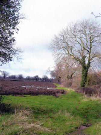 Site 260 looking to West Cross Lane. February 2007