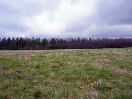 Site 261 Elm Hill Field looking to Walton Way. February 2007