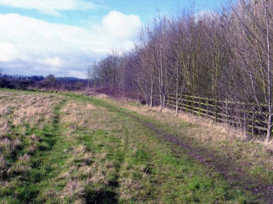 Site 261 Elm Hill Field looking to The Ridings. February 2007