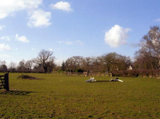 Site 262 Reynold's Pasture with Swithland Lane to the right rear. March 2007