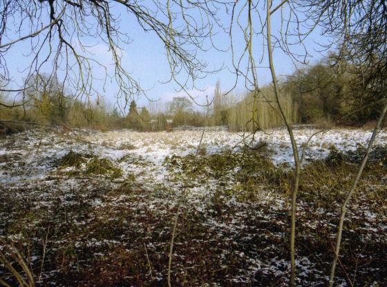 Site 265 Lawn Bottom from Westfield Lane. February 2010