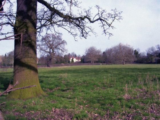 Site 266 Lawn Field. Looking to The Ridgeway. March 2007