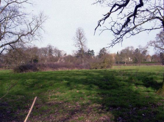 Site 266 Lawn Field. Looking to The Ridgeway. Pond 46 enclosed by vegetation. March 2007