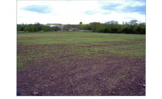 Site 189 Changed to arable. Looking to Brooklea Nursery. May 2008