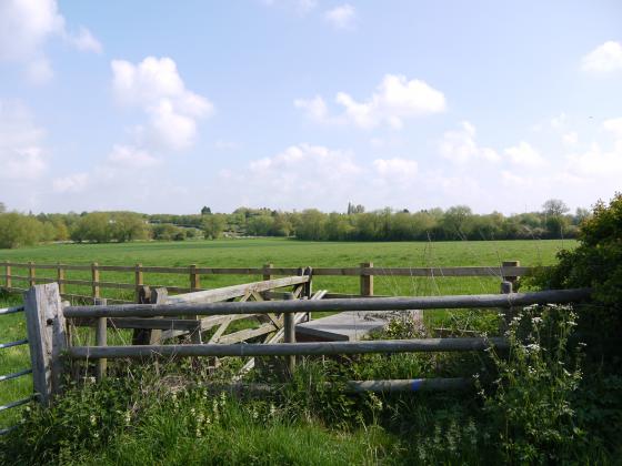 Looking from Homefield Lane to Rothley Brook. May 2013