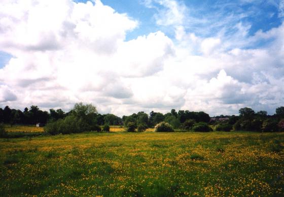 Site 191 Looking over Rothley Brook in the foreground to Homefield Lane. June 2003