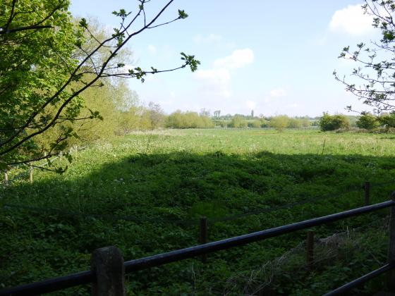 Looking from Homefield Lane to Fields Farm. Rothley Brook to the left behind the hedgerow. May 2013