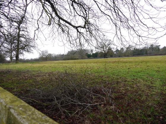 Looking from Westfield Lane. February 2015