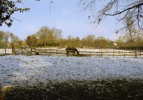 Site 267 West Field looking to The Ridgeway. February 2010