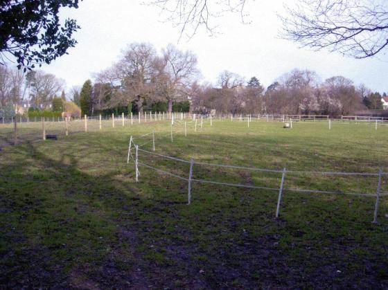 Site 267 West Field looking to The Ridgeway. March 2007