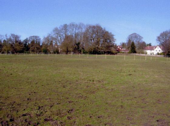 Site 268 West Sand Pit Field looking to The Ridgeway. February 2009