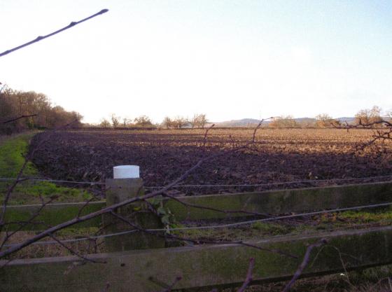 Site 269 West Plain Close from The Ridings looking to Swithland Lane. Hickling's Spinney Site 270 to the left. December 2007