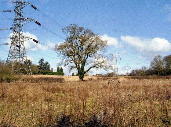 Site 194 Looking to Station Road. April 2006