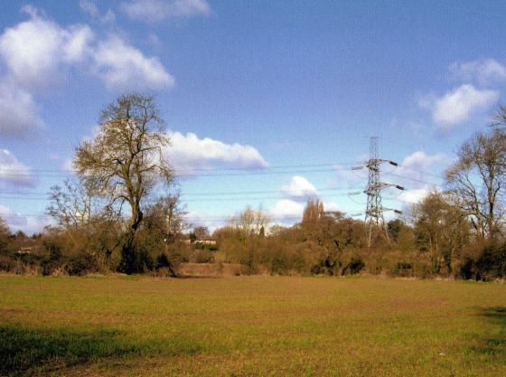 Site 194 to the right. Ancient Parish Boundary Stint 10 running along the boundary of Rothley Brook. April 2006