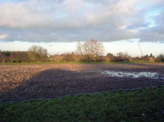 Site 196 Looking to West Cross Lane. January 2007