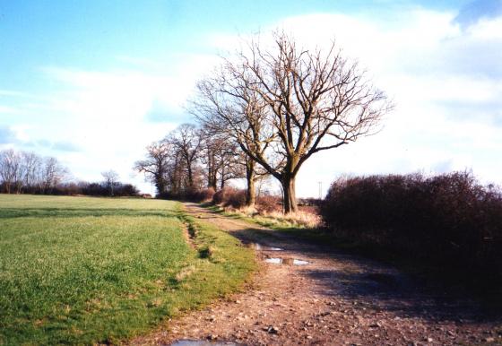 Site 202 Ancient Parish Boundary to the right. March 2004