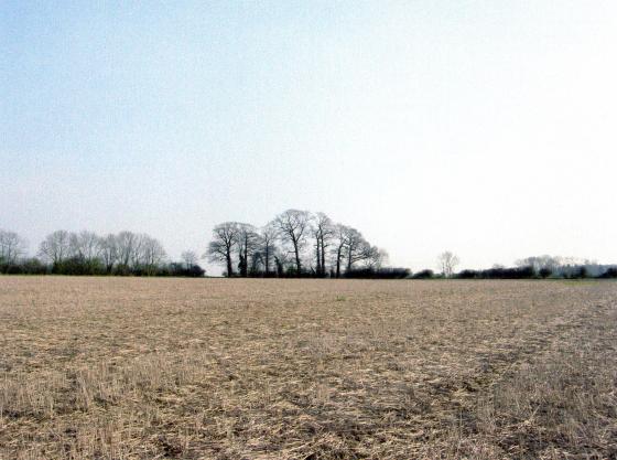 Site 204 from Site 203 Abbethaws. April 2005