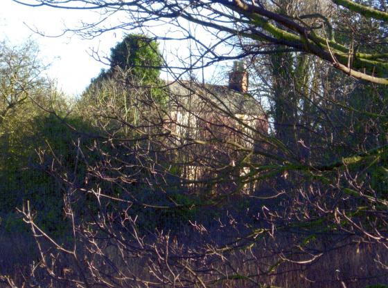 Linkfield Farm January 2008