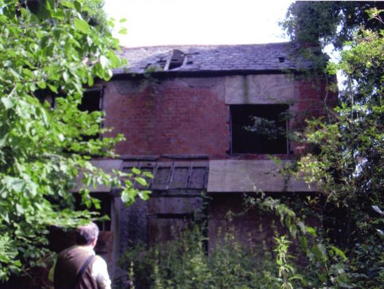 Possible lean-to greenhouse on the southern side of the farmhouse. August 2009