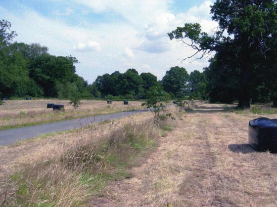 Site 209 Looking to Bridle Road. August 2007