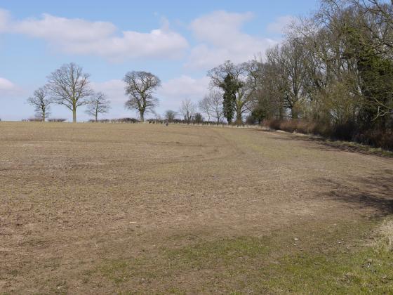 Site 214 Looking to Site 219 Long Field at the back and Site 160 South Hall Field over the right hand hedgerow. 6th April 2013