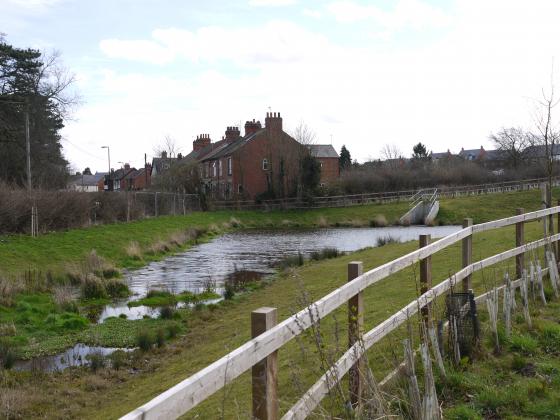 The pond April 2013