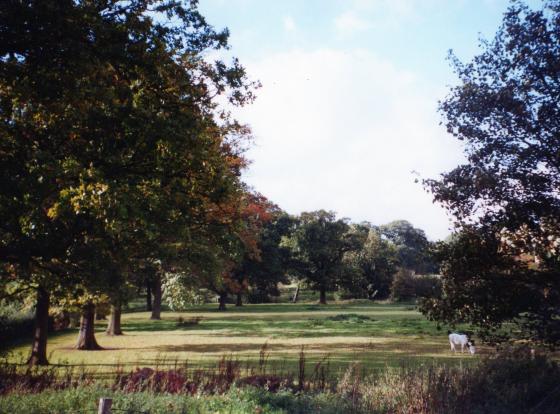 Site 210 Looking from the Bridle Road. Thomas Babingtons Carriageway to the left. October 2001