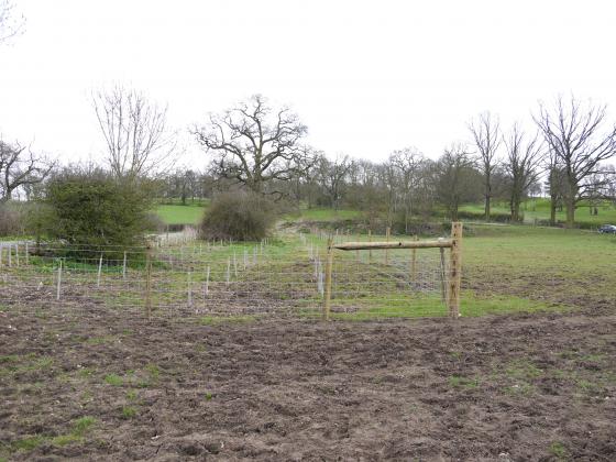 From Public Footpath with Bridle Road to the left. April 2013