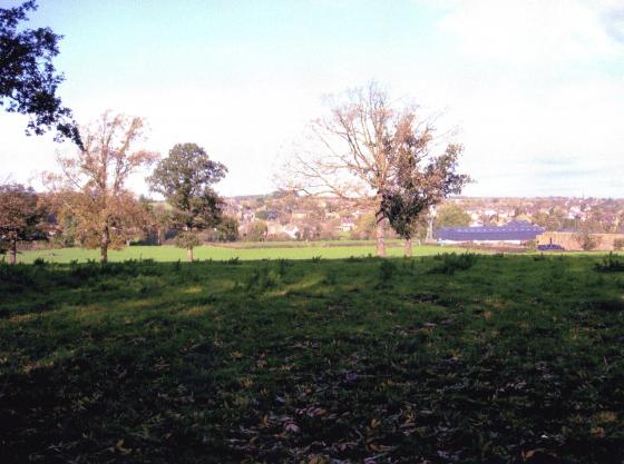 Site 220 Looking to Thomas Babington's Carriageway Site 222. November 2005