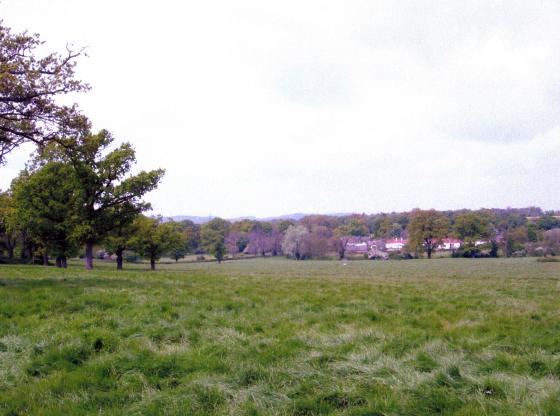 Site 220 Looking to Town Green. May 2005