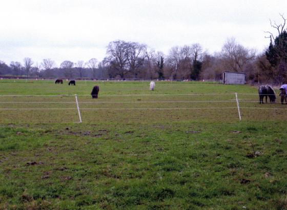 Site 221 The field adjoining the farmhouse. Rothley Brook on the right. March 2010