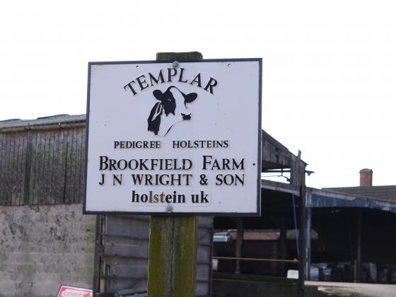 Site 221 The Templar Herd sign has been given a clean as part of its farewell. 6th April 2013