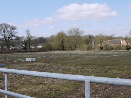 Site 221 Looking over the field adjoining the farmhouse to Forge End. 6th April 2013