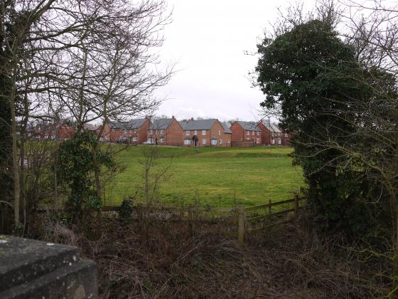 Looking from Hallfields Lane by Rothley Brook. February 2015