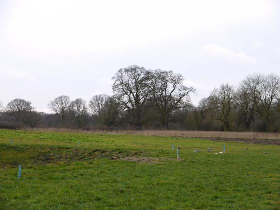 Looking from new parking area to Rothley Brook. February 2015