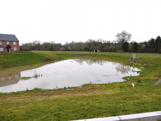 Water run-off pond. February 2015