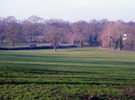 Site 224 Looking to the Bridle Road. January 2006